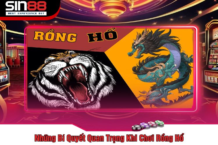 Những Bí Quyết Quan Trọng Khi Chơi Rồng Hổ